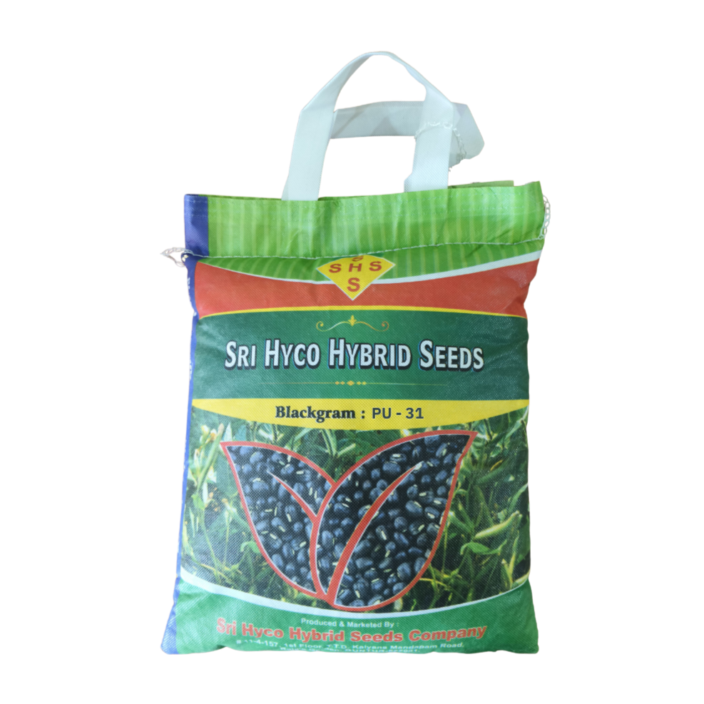 PU - 31 Black Gram Seeds - Sri Hyco Hybrid Seeds | Buy Online Now