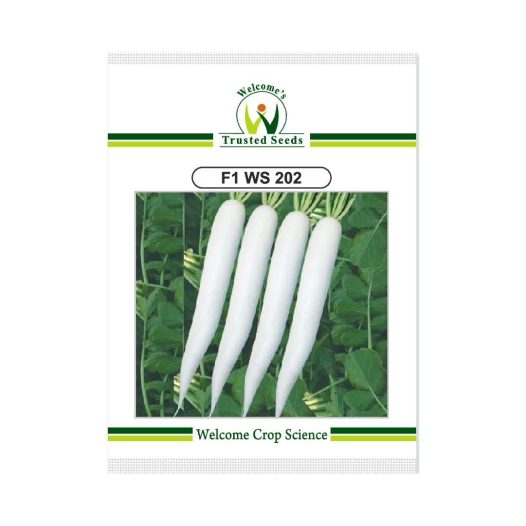 WS 202 Radish Seeds - Welcome | F1 Hybrid | Buy Online - DesiKheti