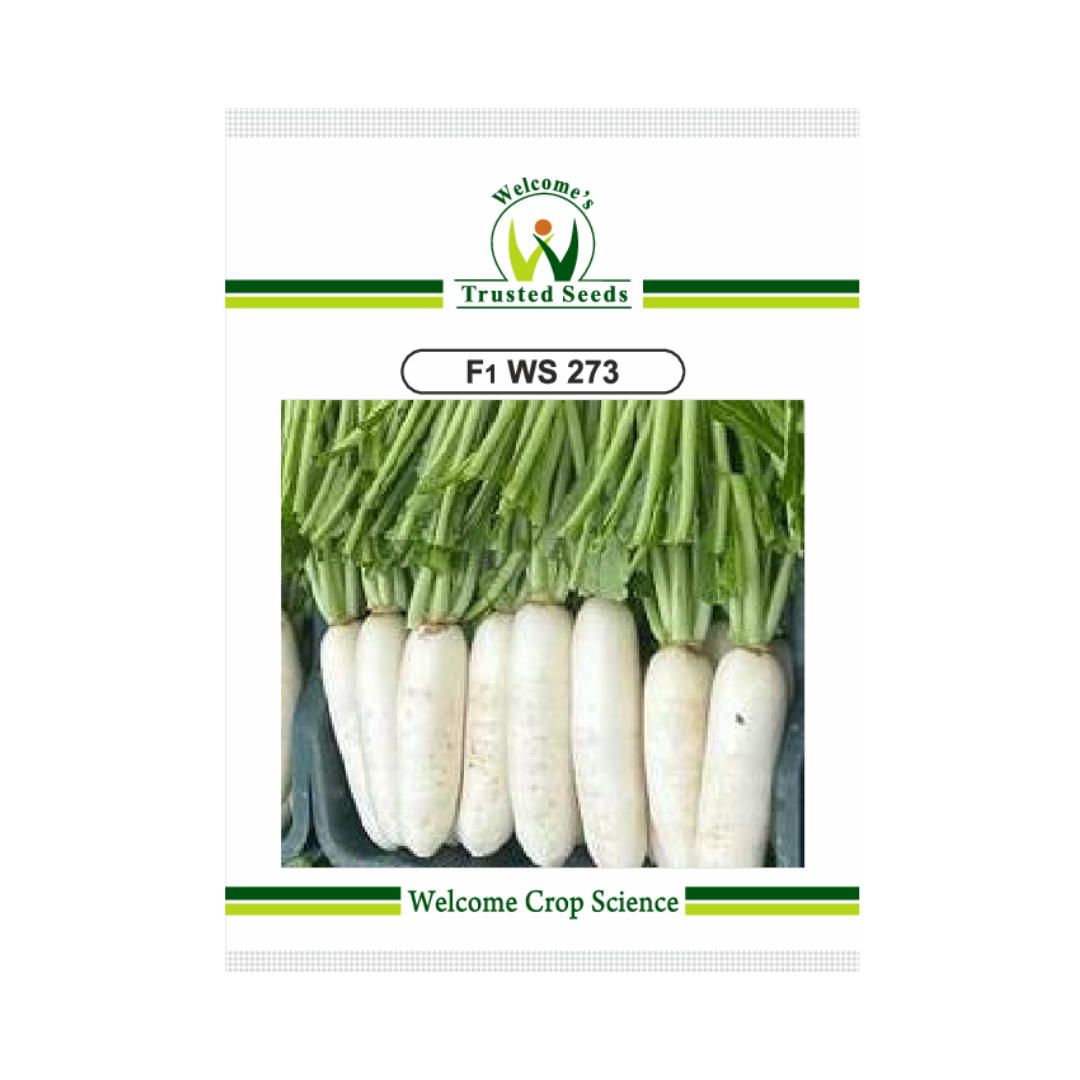 WS 273 Radish Seeds - Welcome | F1 Hybrid | Buy Online - DesiKheti