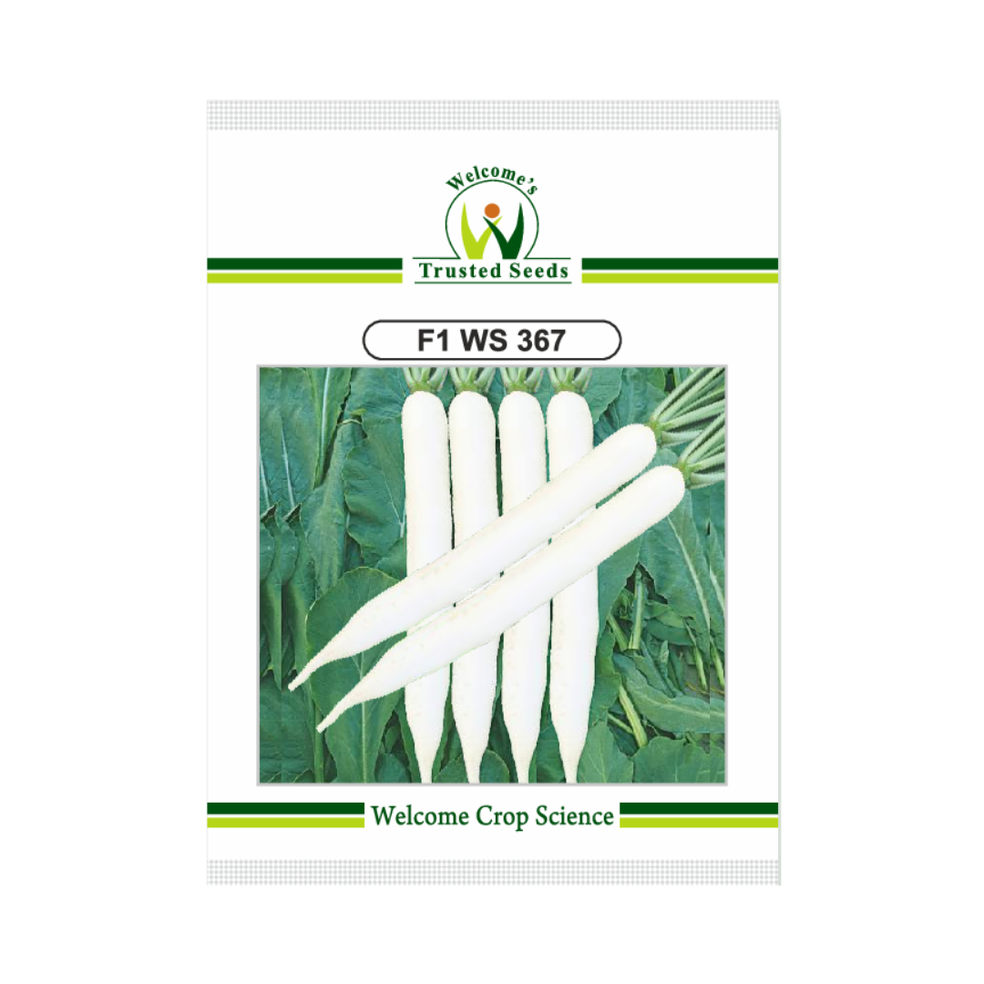 WS 367 Radish Seeds - Welcome | F1 Hybrid | Buy Online - DesiKheti