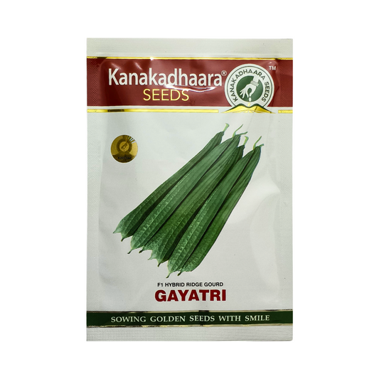 Gayatri Ridge Gourd Seeds - Kanakadhaara Seeds | F1 Hybrid | Buy Now