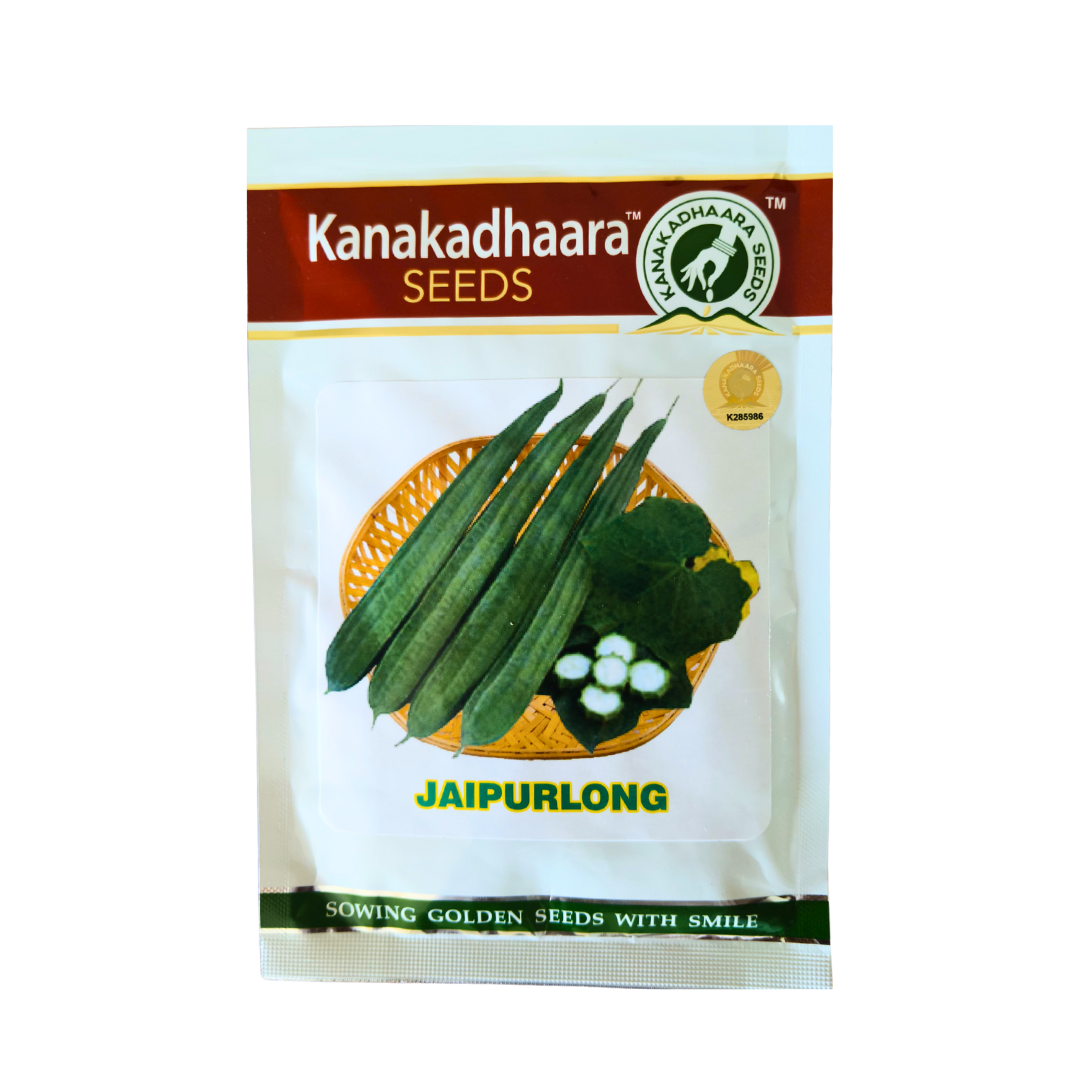 Jaipur Long Ridge Gourd Seeds - Kanakadhaara Seeds | F1 Hybrid | Buy