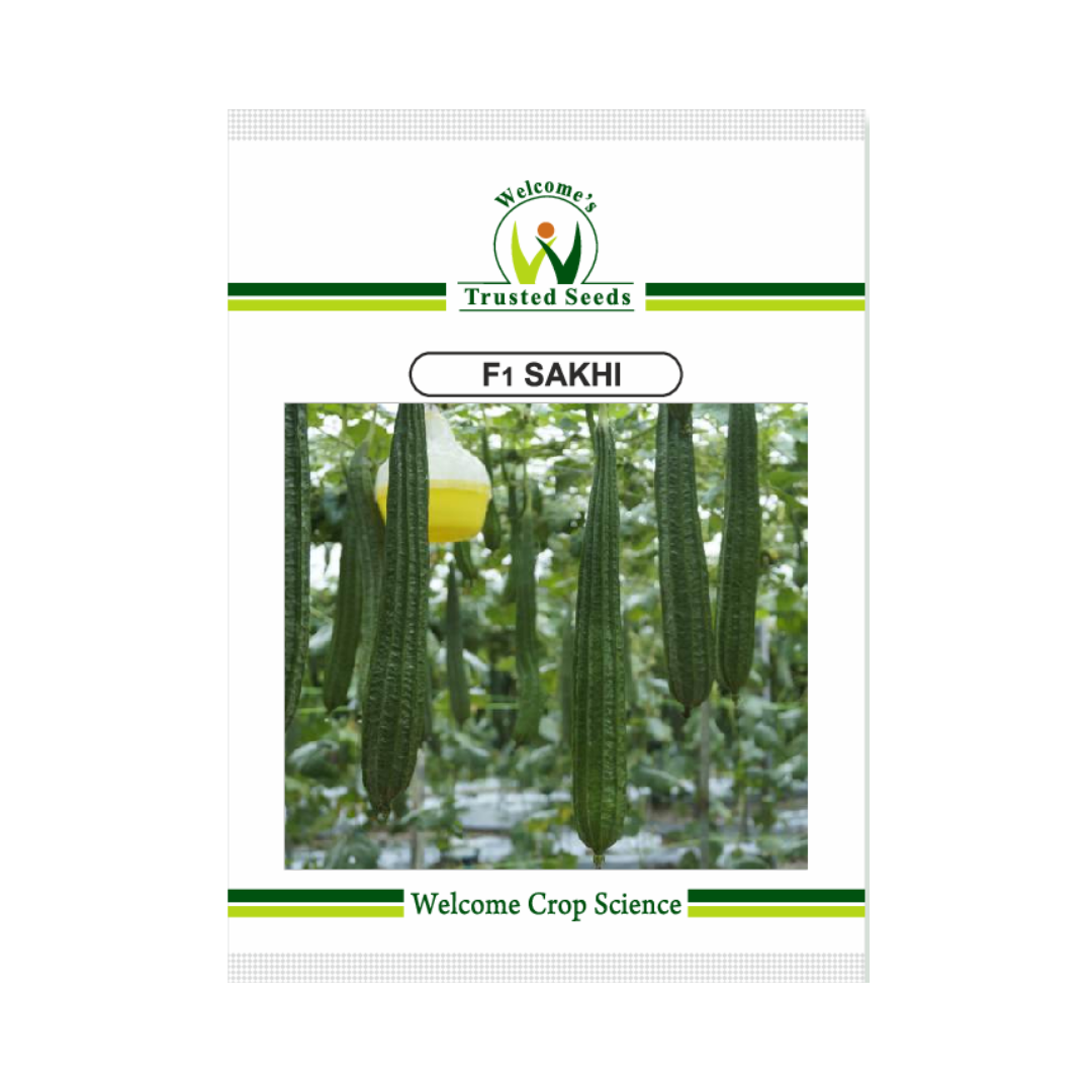 Sakhi Ridge Gourd Seeds - welcome | F1 Hybrid | Buy Online Now