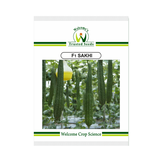 Sakhi Ridge Gourd Seeds - welcome | F1 Hybrid | Buy Online Now