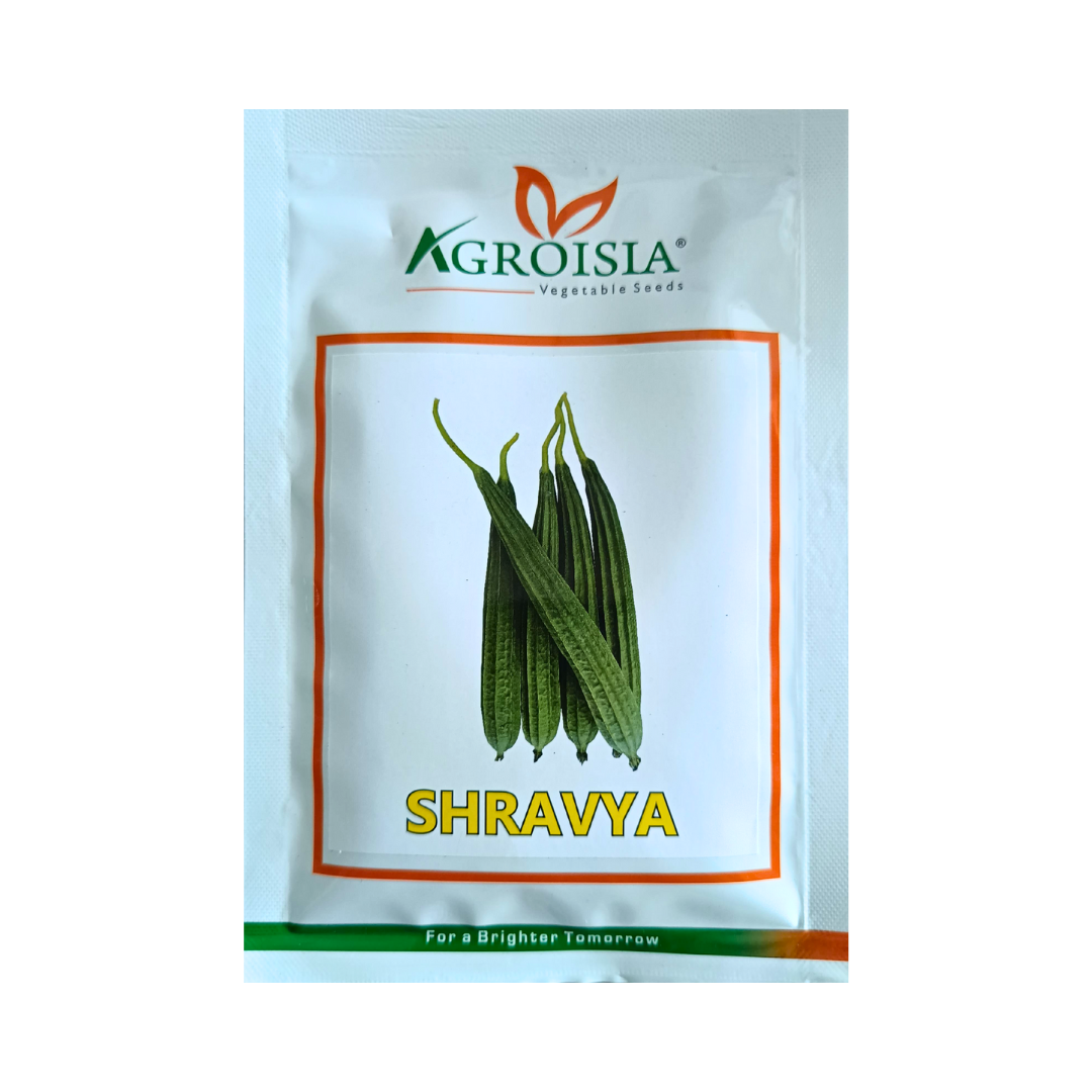 Shravya Ridge Gourd Seeds - Agroisia | F1 Hybrid | Buy Online Now