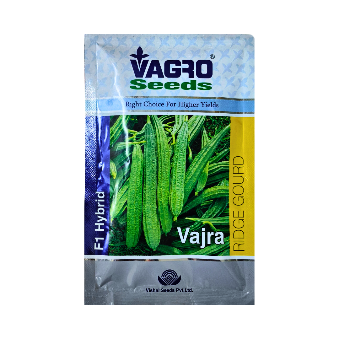 Vajra Ridge Gourd Seeds - Vagro | F1 Hybrid | Buy Online at Best Price