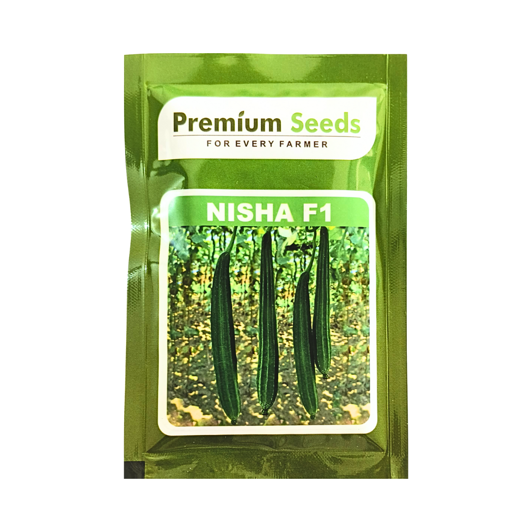 Nisha Ridge Gourd Seeds - Premium Seeds | Buy Online at Best Price