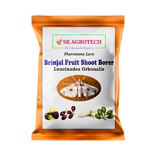 Sk Agrotech Brinjal Fruit & Shoot Borer Pheromone Lure | Buy Online