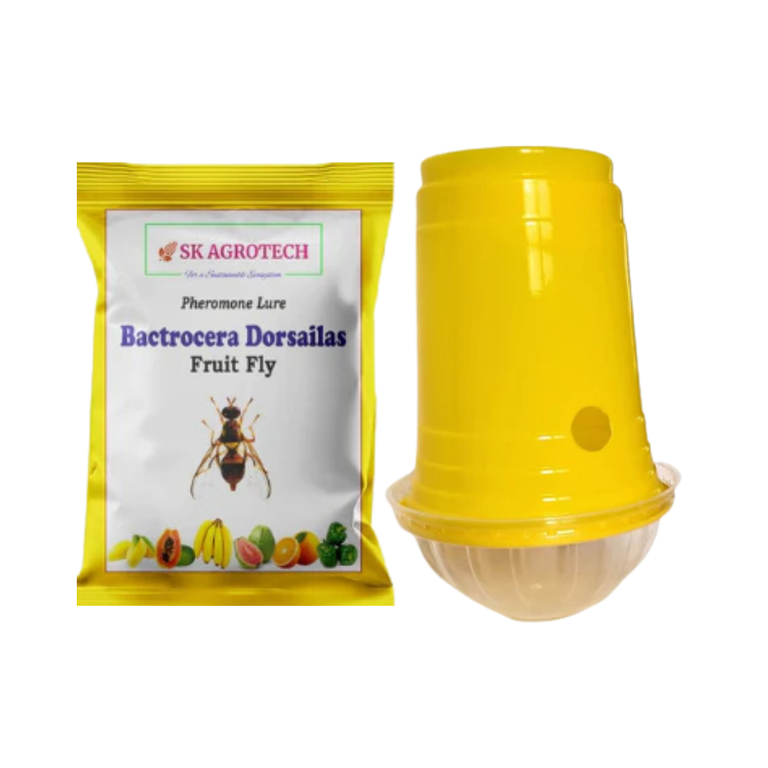 SK Agrotech Fruit Fly Trap & Fruit Fly Lure (bactrocera Dorsalis)