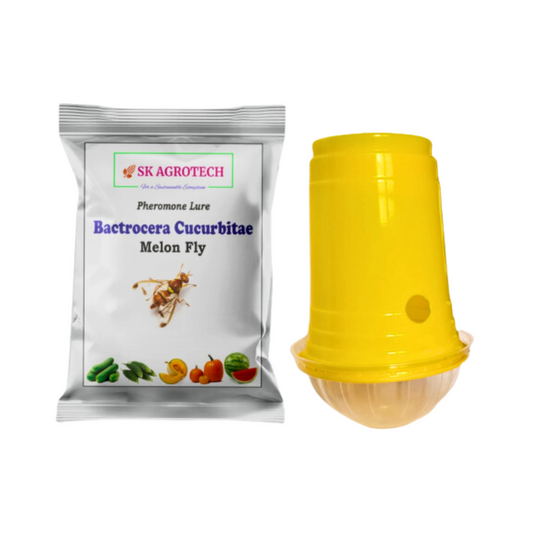 SK Agrotech Fruit Fly Trap & Melon Fly Lure (bactrocera Cucurbitaie)