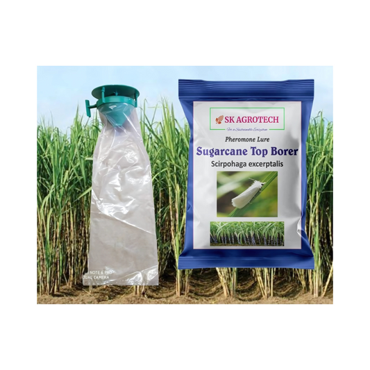 SK Agrotech Pheromone Lure for Sugarcane Top Borer (Scirpophaga Excerptalis) & Funnel Trap