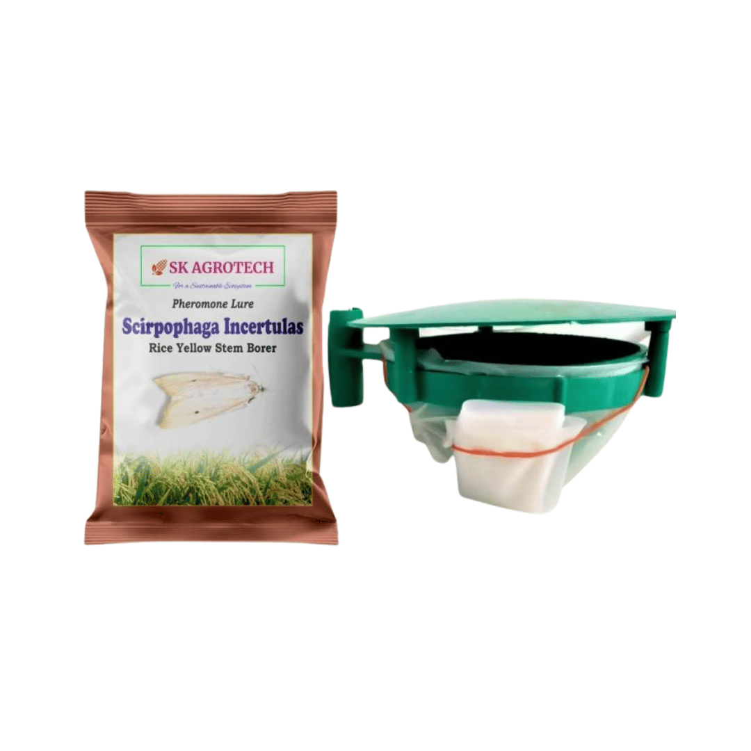 SK Agrotech Pheromone Lures for Scirpophaga Incertulas - Rice Yellow Stem Borer & Funnel Trap