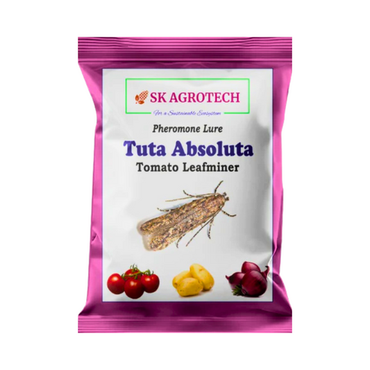 SK Agrotech Tuta Absoluta Lure - Tomato Leaf Miner | Buy Online Now