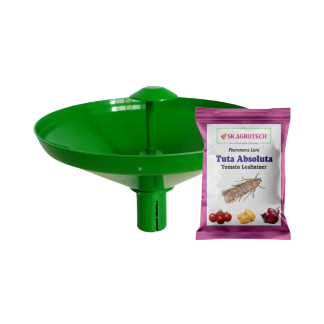 SK Agrotech Water Trap & Tuta Absoluta Lure - Tomato Leaf Miner | Buy