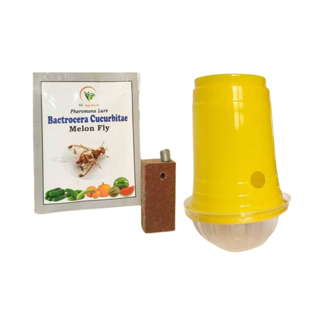 SK Agrotech Bactrocera Cucurbitae - Melon Fruit Fly Pheromone Trap & Lure