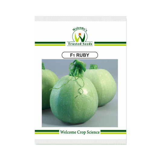 Ruby Squash Seeds - Welcome | F1 Hybrid | Buy Online Now - DesiKheti