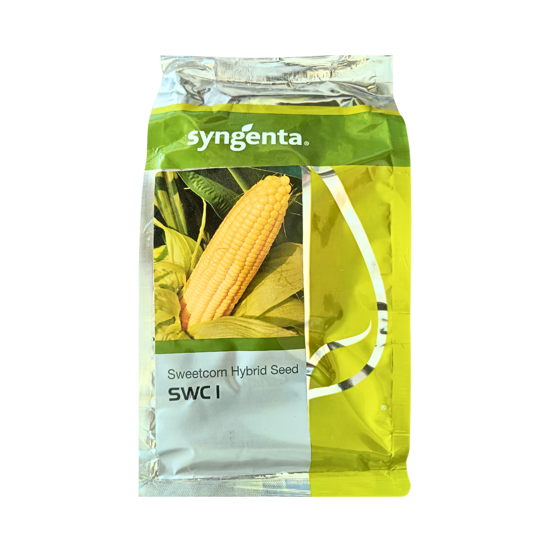 SWC 1 Sweet Corn Seeds - Syngenta | F1 Hybrid | Buy Online Now