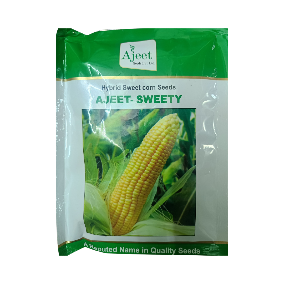 Ajeet-Sweety Sweet Corn Seeds | Buy Online at Best Price - DesiKheti