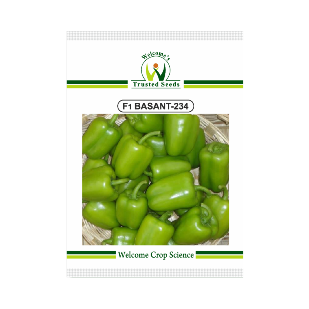 Basanth-234 Capsicum Seeds - Welcome | F1 Hybrid | Buy Online Now