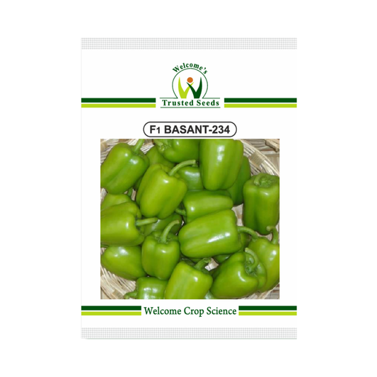 Basanth-234 Capsicum Seeds - Welcome | F1 Hybrid | Buy Online Now