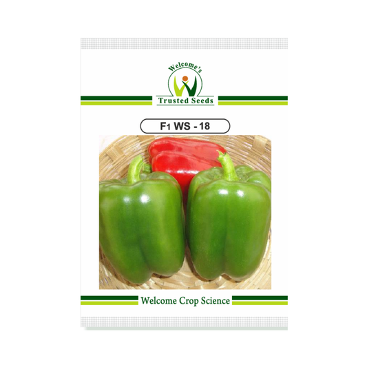 WS - 18 Capsicum Seeds - Welcome | F1 Hybrid | Buy Online Now