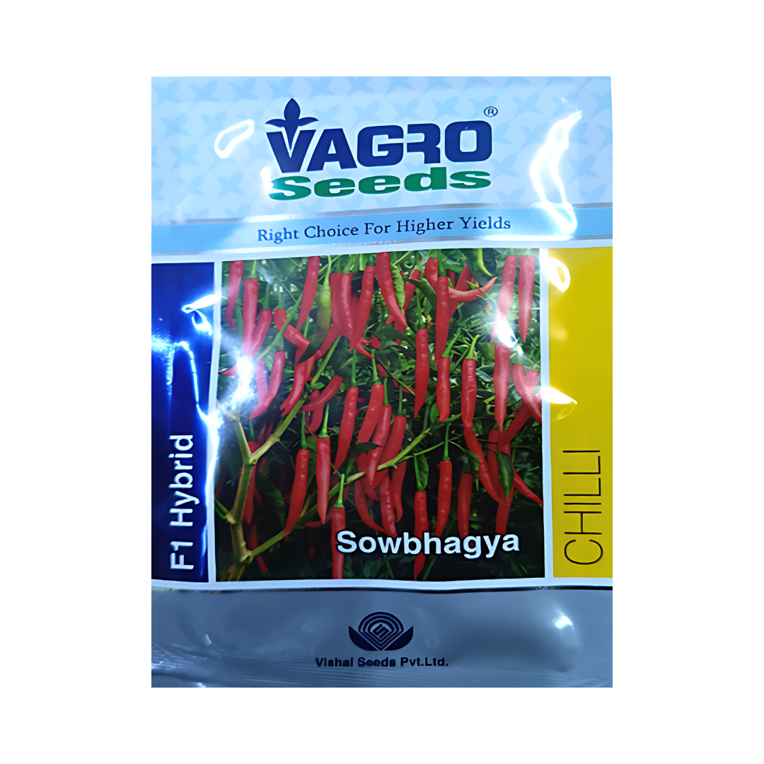 Sowbhagya Chilli Seeds - Vagro | F1 Hybrid | Buy Online Now