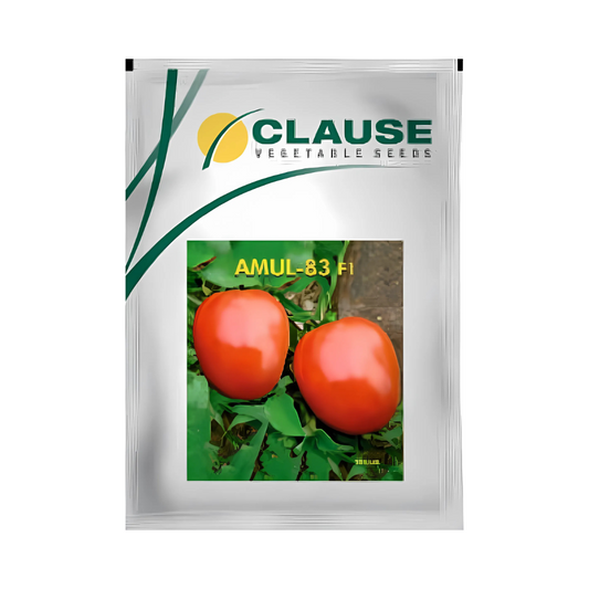 Amul-83 Tomato Seeds - HM Clause | F1 Hybrid | Buy Online - DesiKheti