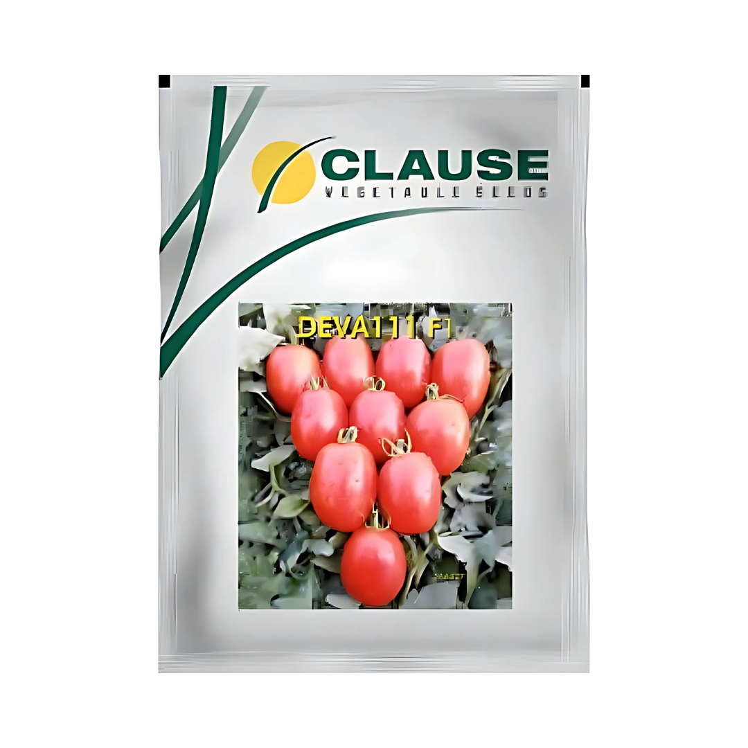 Deva 111 Tomato Seeds - HM Clause | F1 Hybrid | Buy Online Now - DesiKheti