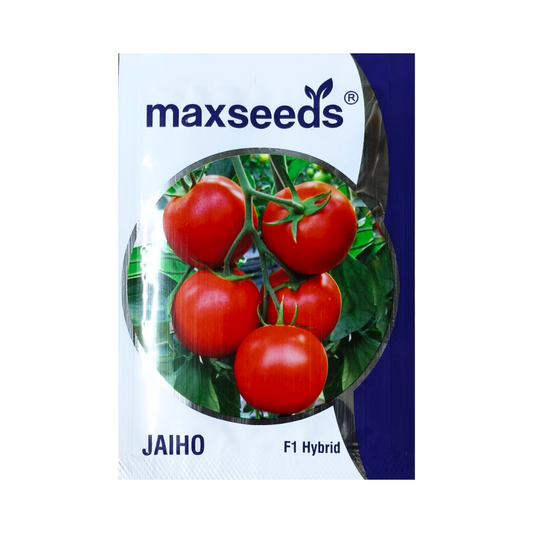 Jaiho Tomato Seeds - Max | F1 Hybrid | Buy Online at Best Price