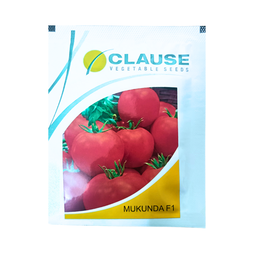 Mukunda Tomato Seeds - HM Clause | F1 Hybrid | Buy Online - DesiKheti