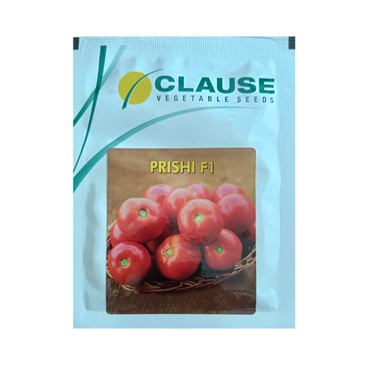 Prishi Tomato Seeds - HM Clause | F1 Hybrid | Buy Online at Best Price