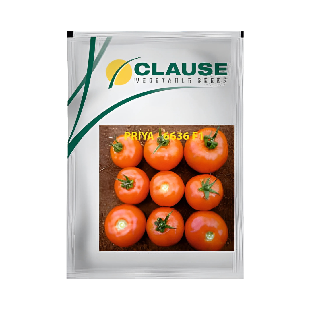 Priya-6636 Tomato Seeds - HM Clause | F1 Hybrid | Buy Online Now