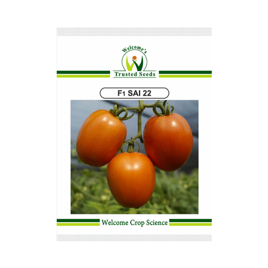 Sai 22 Tomato Seeds - Welcome | F1 Hybrid | Buy Online at Best Price