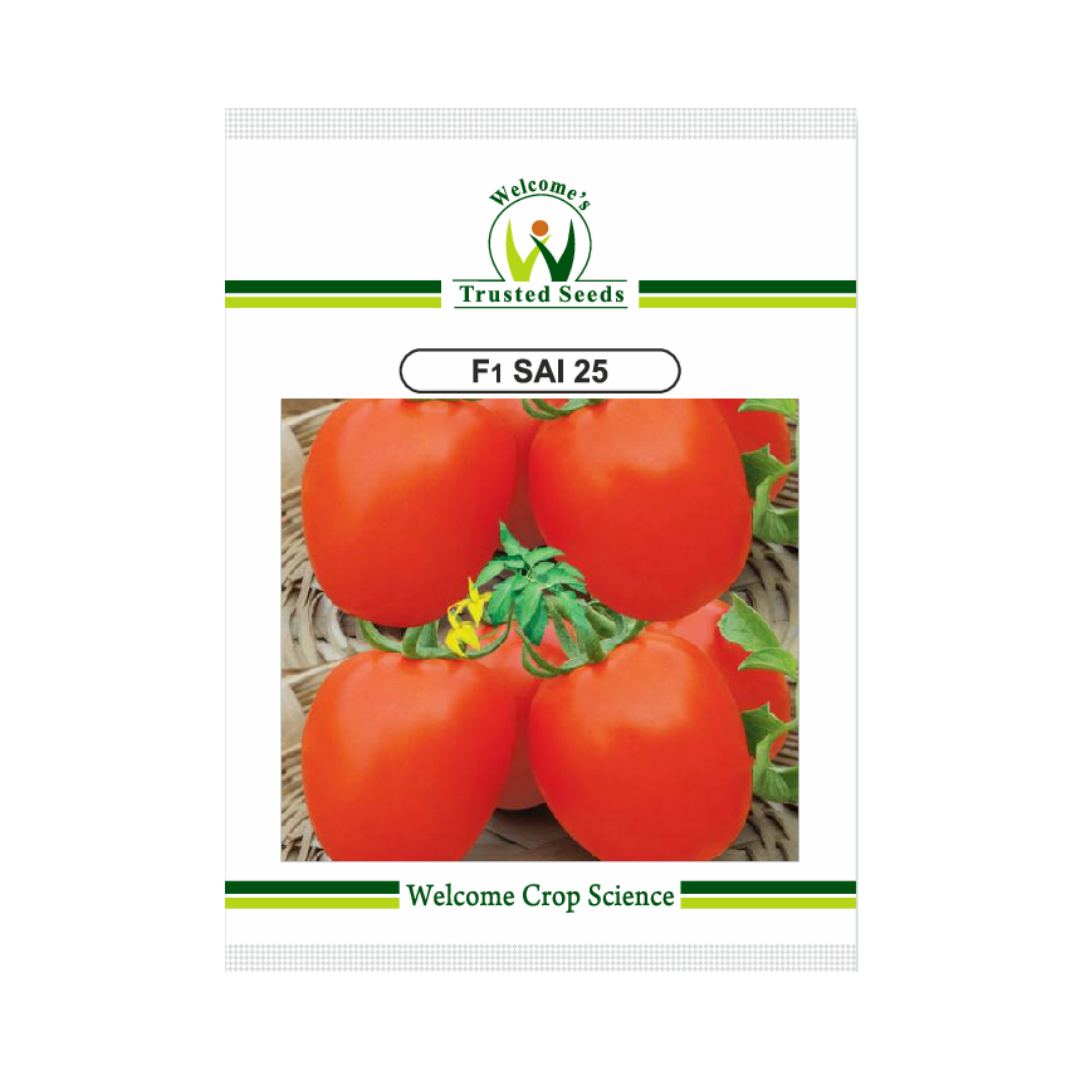 Sai 25  Tomato Seeds - Welcome | F1 Hybrid | Buy Online at Best Price