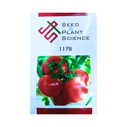 SPS-1178 Tomato Seeds - Seed & Plant Science | F1 Hybrid | Buy Online