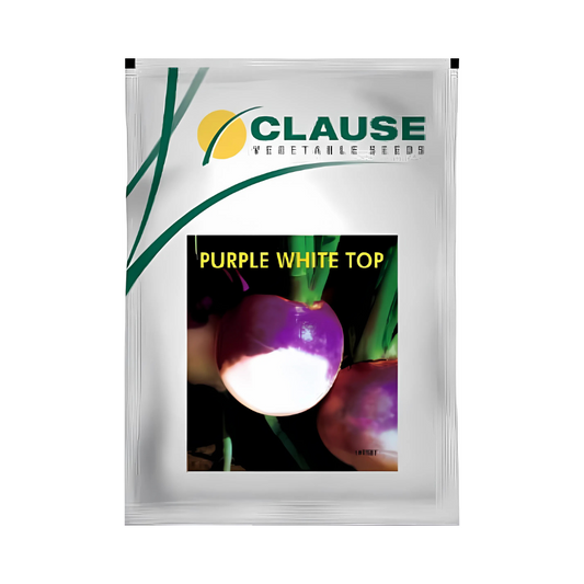 Purple White Top Turnip Seeds