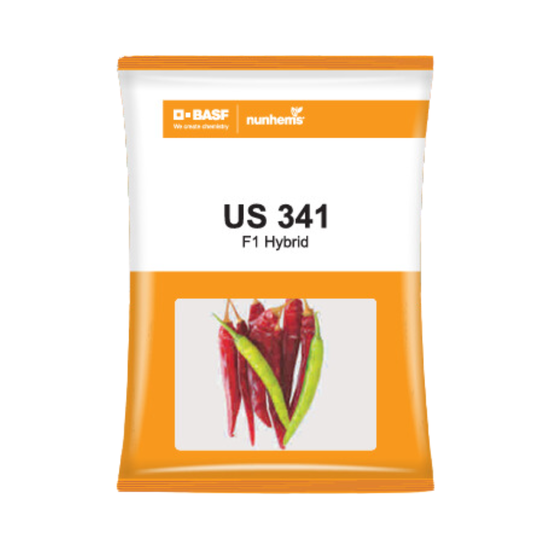 US 341 Chilli Seeds - Nunhems | F1 Hybrid | Buy Online at Best Price