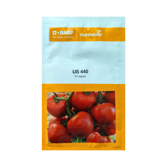 US 440 Tomato Seeds - Nunhems | F1 Hybrid | Buy Online at Best Price