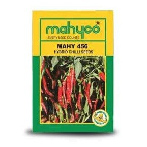 MAHY - 456 Chilli Seeds - Mahyco | F1 Hybrid | Buy Online - DesiKheti