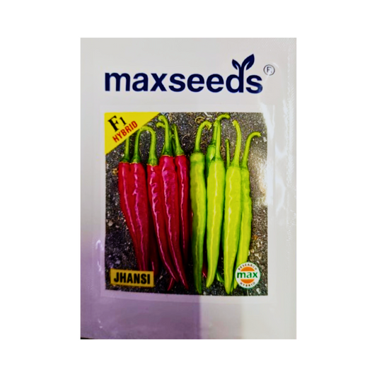 Jhansi Chilli Seeds - Max Seeds | F1 Hybrid | Buy Online at Best Price