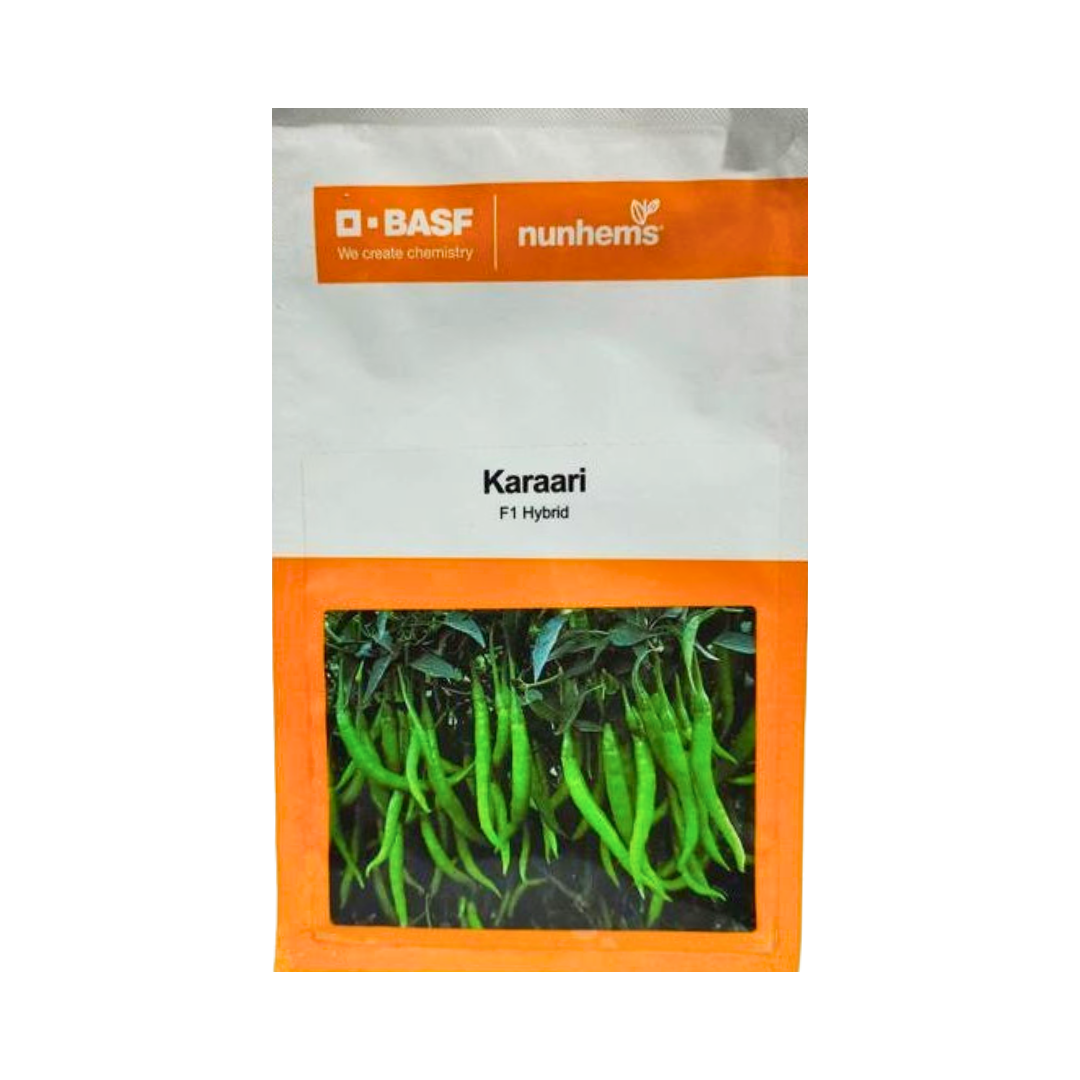 Karaari Chilli Seeds - Nunhems | F1 Hybrid | Buy Online at Best Price