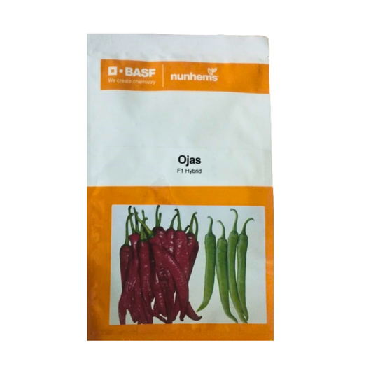 Ojas Chilli Seeds - Nunhems | F1 Hybrid | Buy Online at Best Price