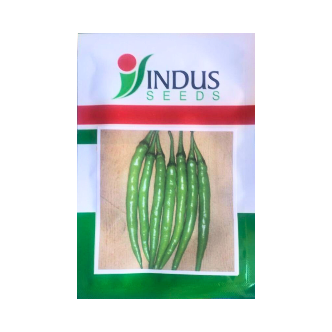 Indus V 13 Chilli Seeds | F1 Hybrid | Buy Online at Best Price