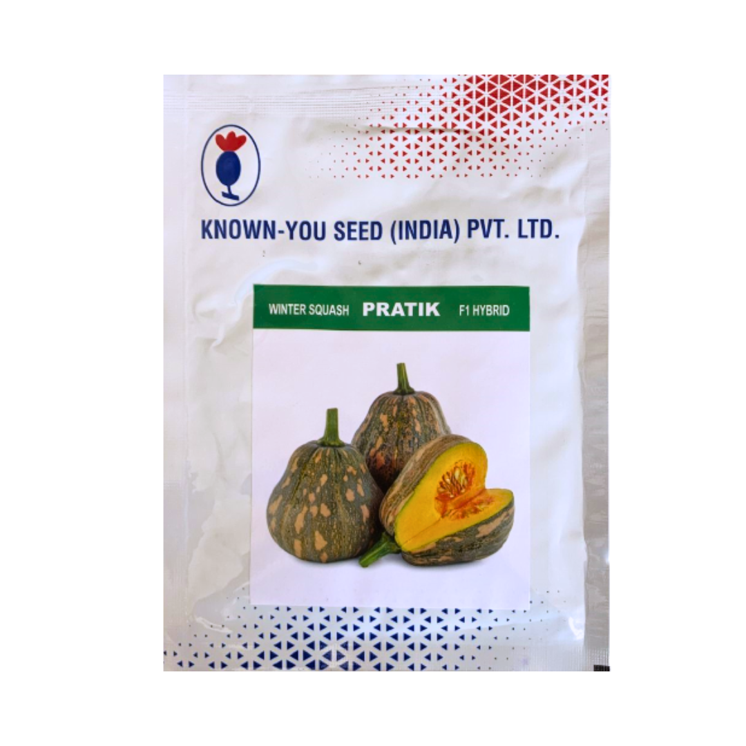 Pratik Winter Squash Seeds - Known You | F1 Hybrid | Buy Online at Best Price