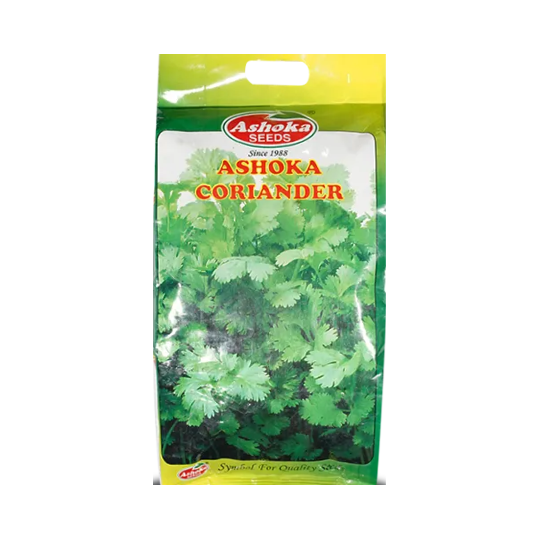 Late Bolting Coriander Seeds - Ashoka | Buy Online at Best Price