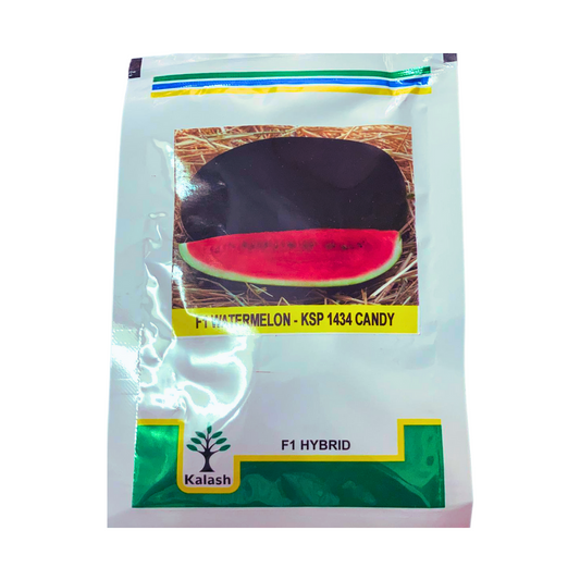 KSP-1434 Candy Watermelon Seeds - Kalash | F1 Hybrid | Buy Online at Best Price