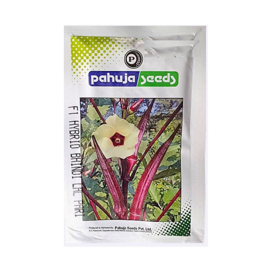 Lal Pari Bhindi Seeds - Pahuja | F1 Hybrid | Buy Online at Best Price