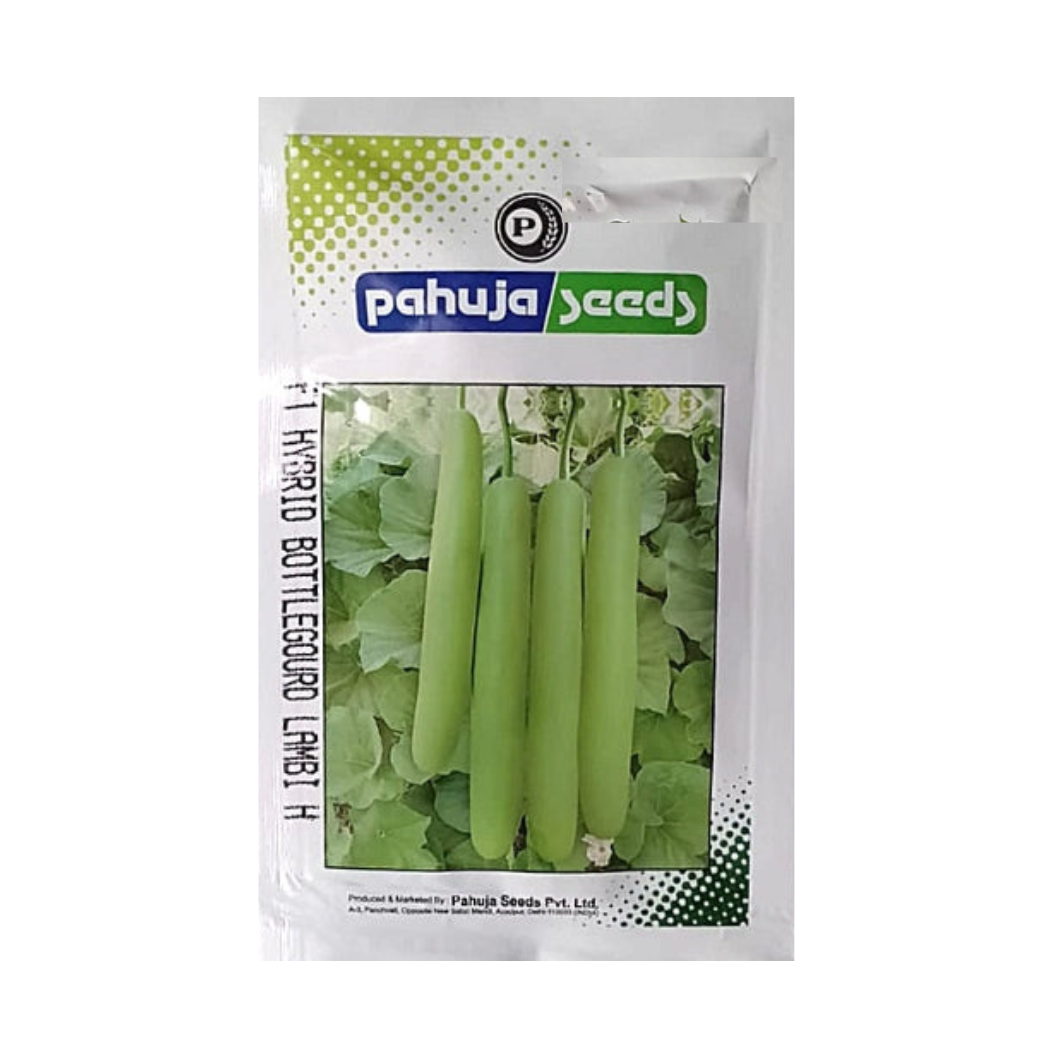 Lambi Bottle Gourd Seeds - Pahuja | F1 Hybrid | Buy Online at Best Price