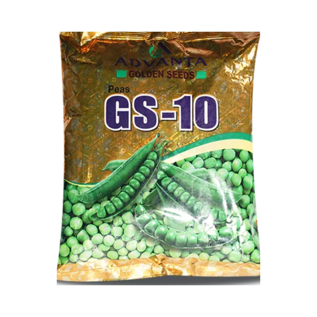 GS-10 Pea Seeds - Advanta | F1 Hybrid | Buy Online - DesiKheti