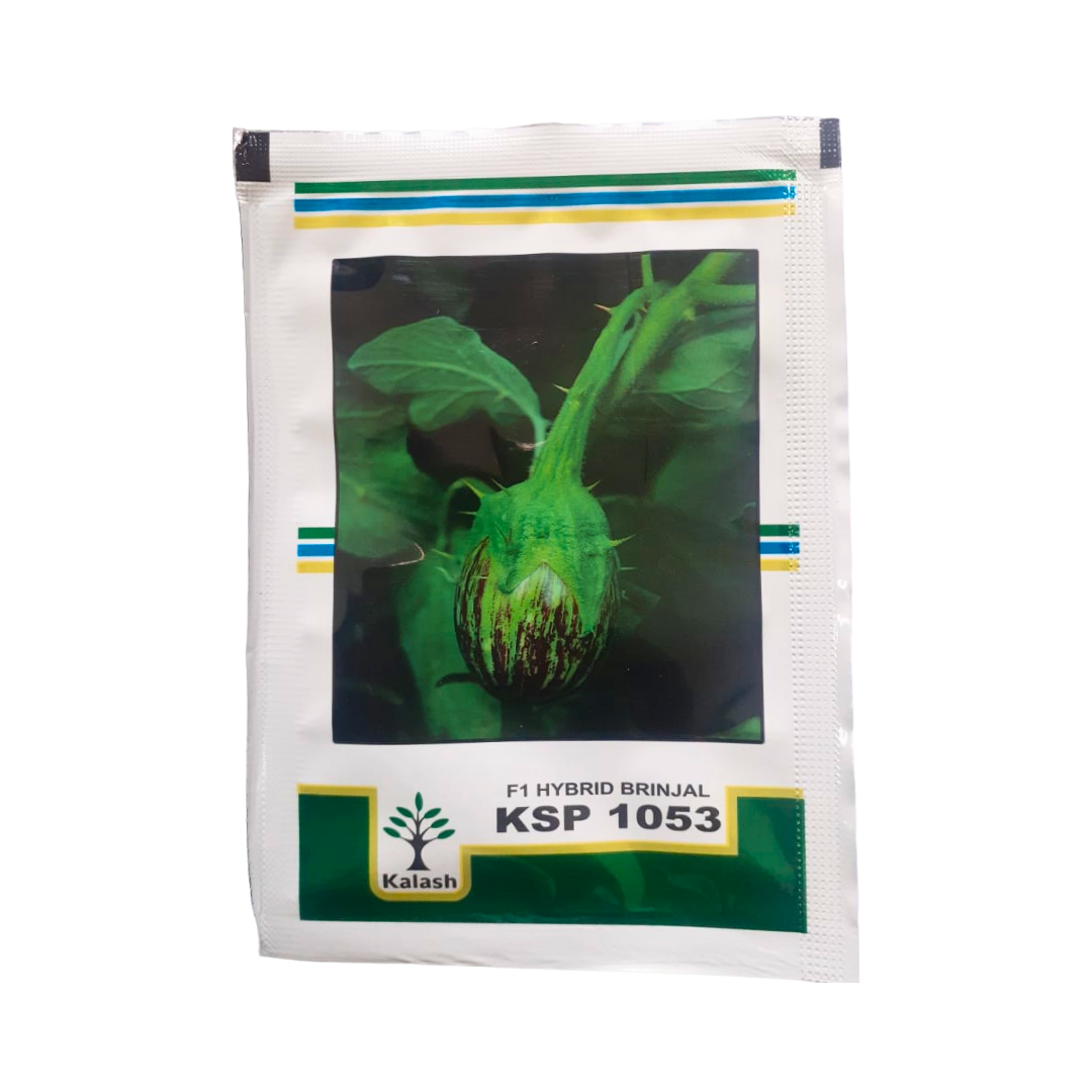 KSP-1053 Shivaji Brinjal - Kalash | F1 Hybrid | Buy Online at Best Price